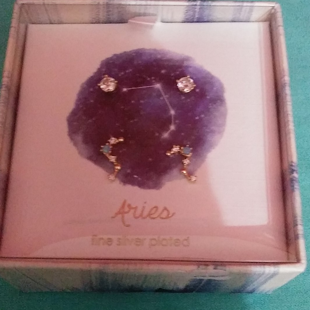 💍Astrology earrings ( Aries ) new